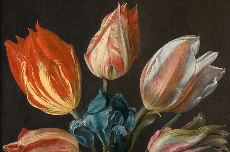 Georg Flegel, German (1566-1638), Tulips, Iris and Other Flowers in a Sculpted Urn, 1586-1638, oil painting, gift of Val A. Browning, UMFA1993.034.001 Detail from Georg Flegel's Tulips, Iris and Other Flowers in a Sculpted Urn, three red, pink and white variegated tulips stand abpve a blue iris against a warm dark background