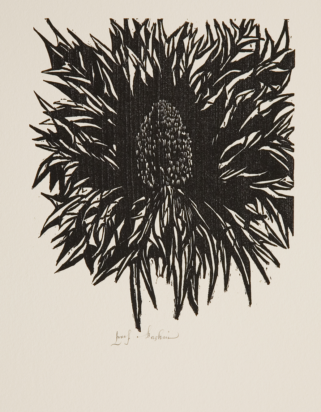 a woodblock print of a flower with many petals. The flower is printed in black ink and fills the whole page. In the middle is a large cone-shaped stamen or pistil.  