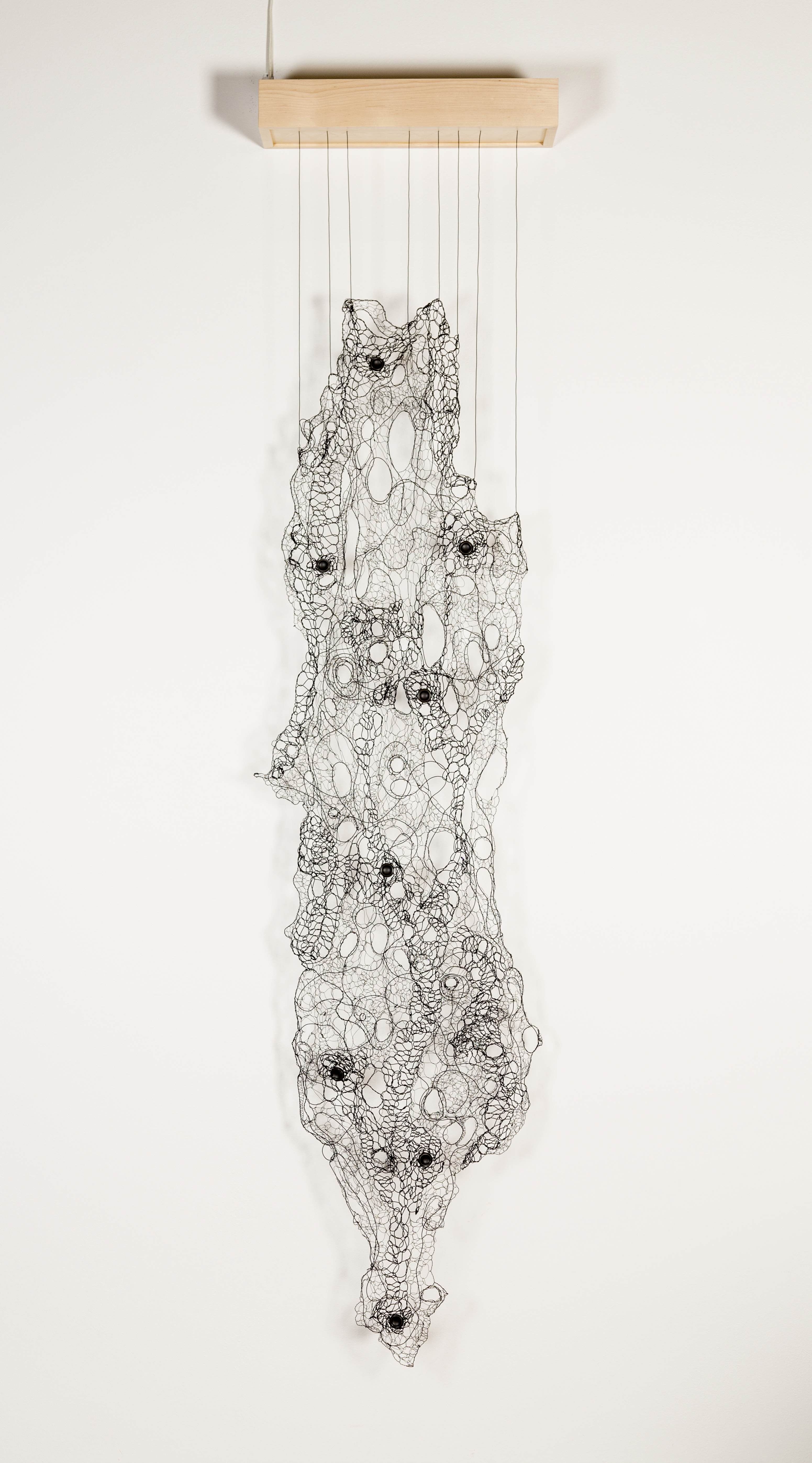 A wire mesh form hung on a white wall.