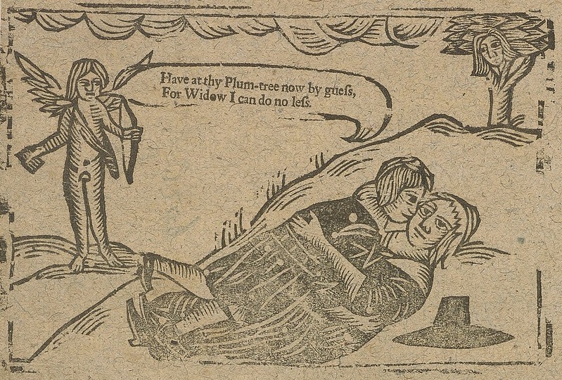 A woodcut print that depicts two lovers in an embrace. Behind them a cherub sings "have at thy plumb-tree now by griefs, for widow I can do no lefs."