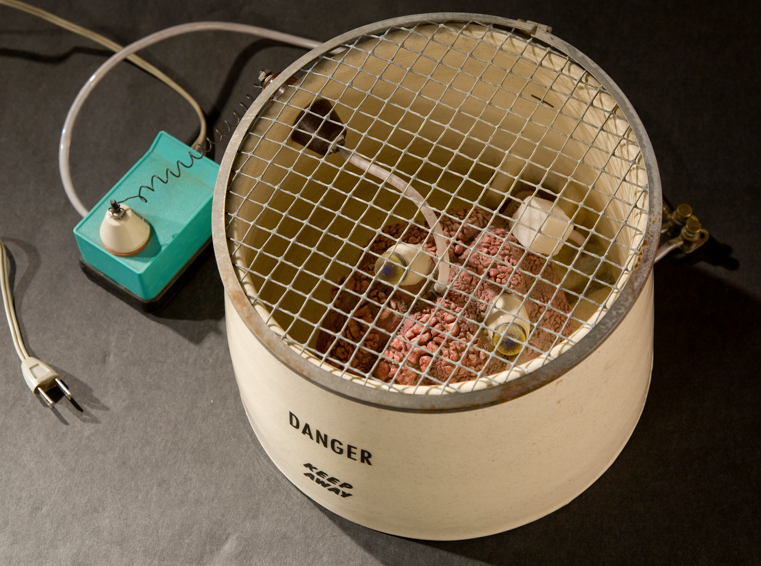 A ceramic cage with a brain creature inside.