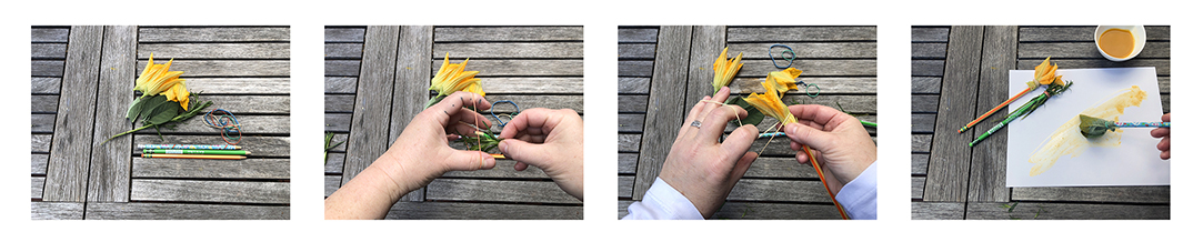 wooden tabletop with three squash blossoms and a stick 