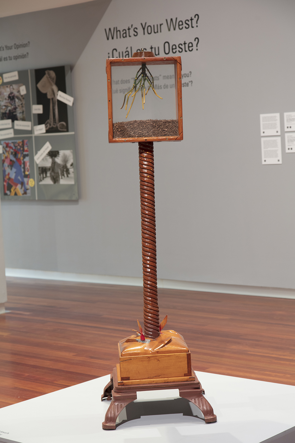 a sculpture made wooded pedestal legs with a twisting center pole has a wood framed glass box on the top containing sclupted roots in green and yellow hanging above a pile of woodchips
