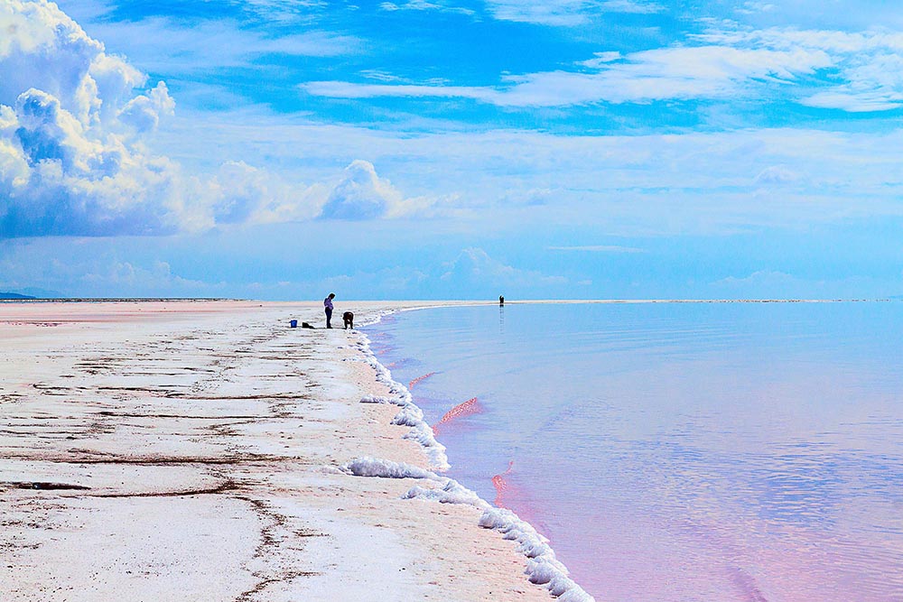 Pink Water at Rozell Point by Adelaide Ryder 2018. With Spiral Jetty out of view the shore line arches into the pink water the sky blends into the water. 