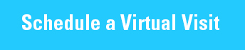 Schedule a Virtual Visit button cyan with white text