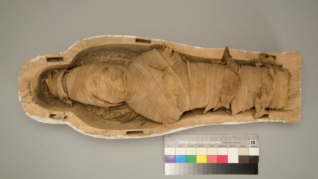 An small open coffin with a corn-mummy inside.