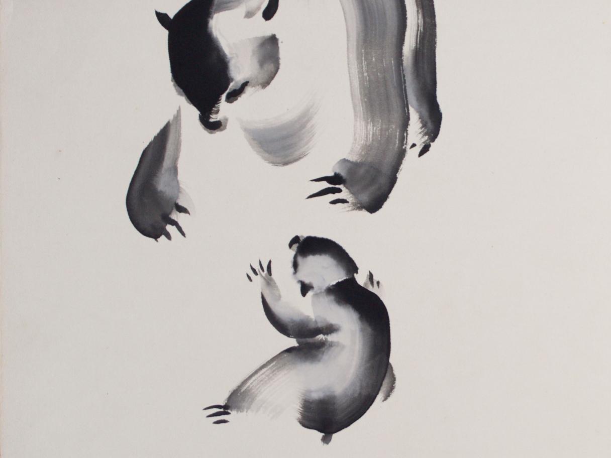 Bears