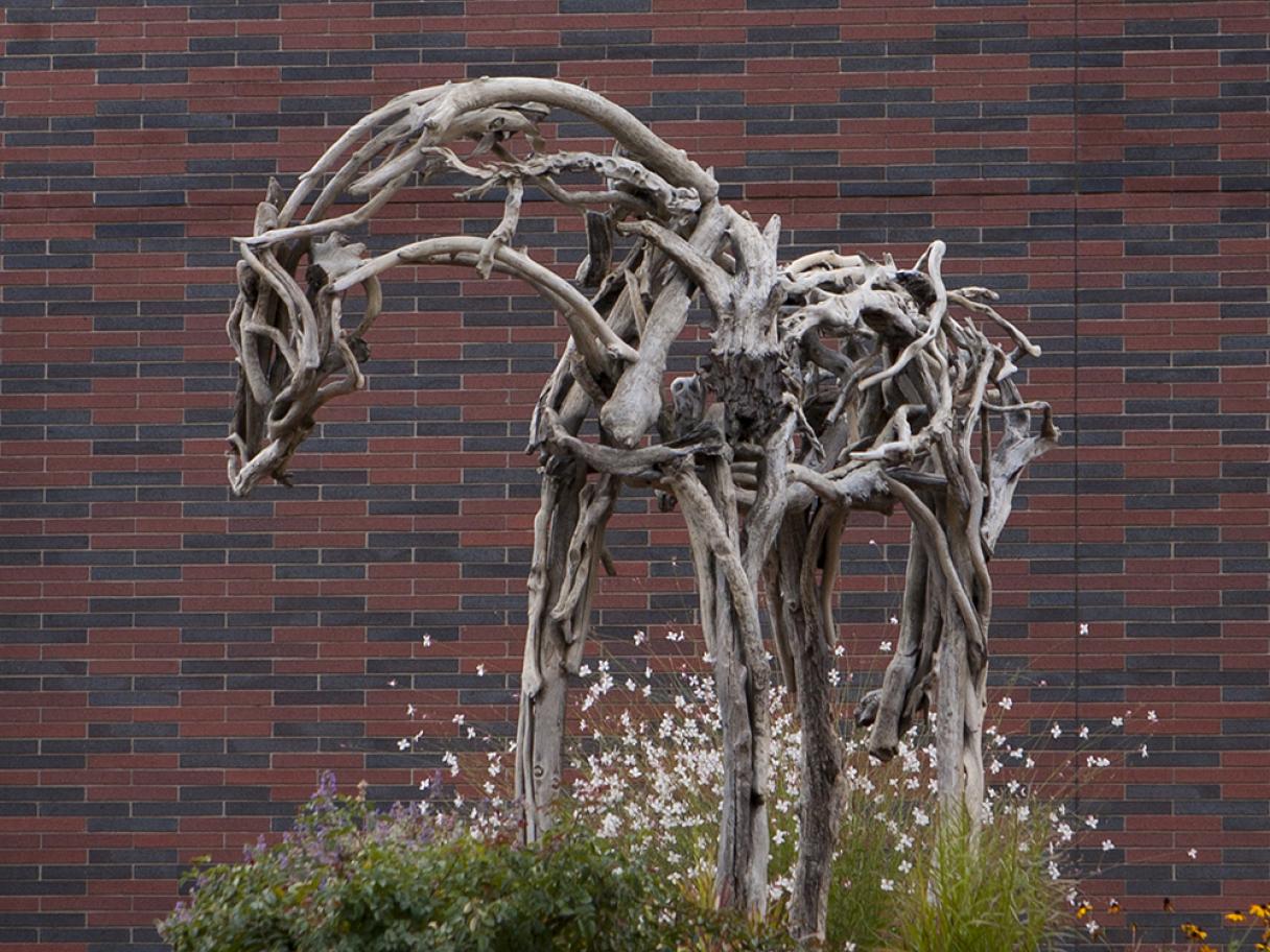 Deborah K. Butterfield, (American, 1949), Rex, 2002, bronze painted, purchased with funds from the Phyllis Cannon Wattis fund for contemporary art, UMFA2003.13.1