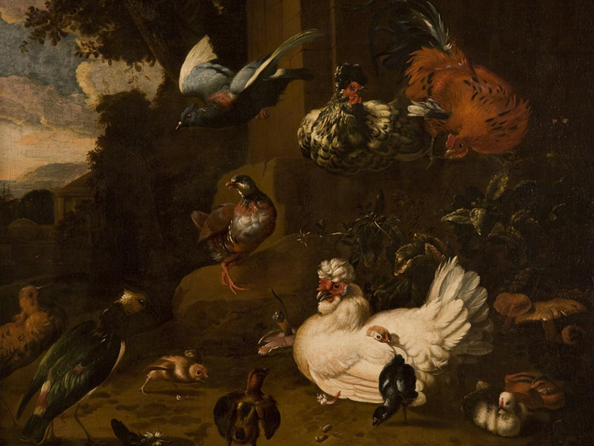 Melchior de Hondecoeter, (Dutch, 1636-1695), Birds in a Landscape, oil on canvas, gift of Mrs. Herbert I. Michael, UMFA1965.017