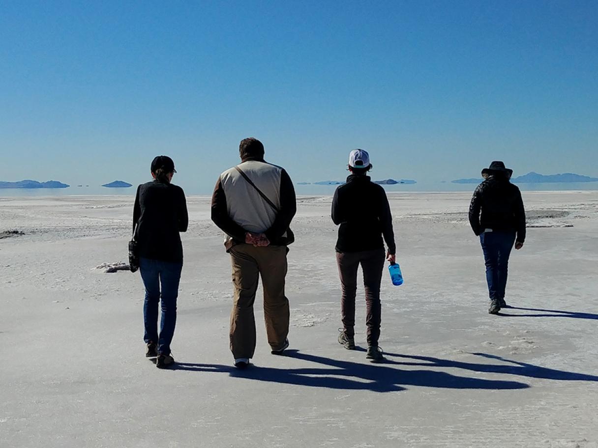 Felllows in Collections Engagement ft. Landscape, Land art, and the American West Felllows in Collections Engagement ft. Landscape, Land art, and the American West