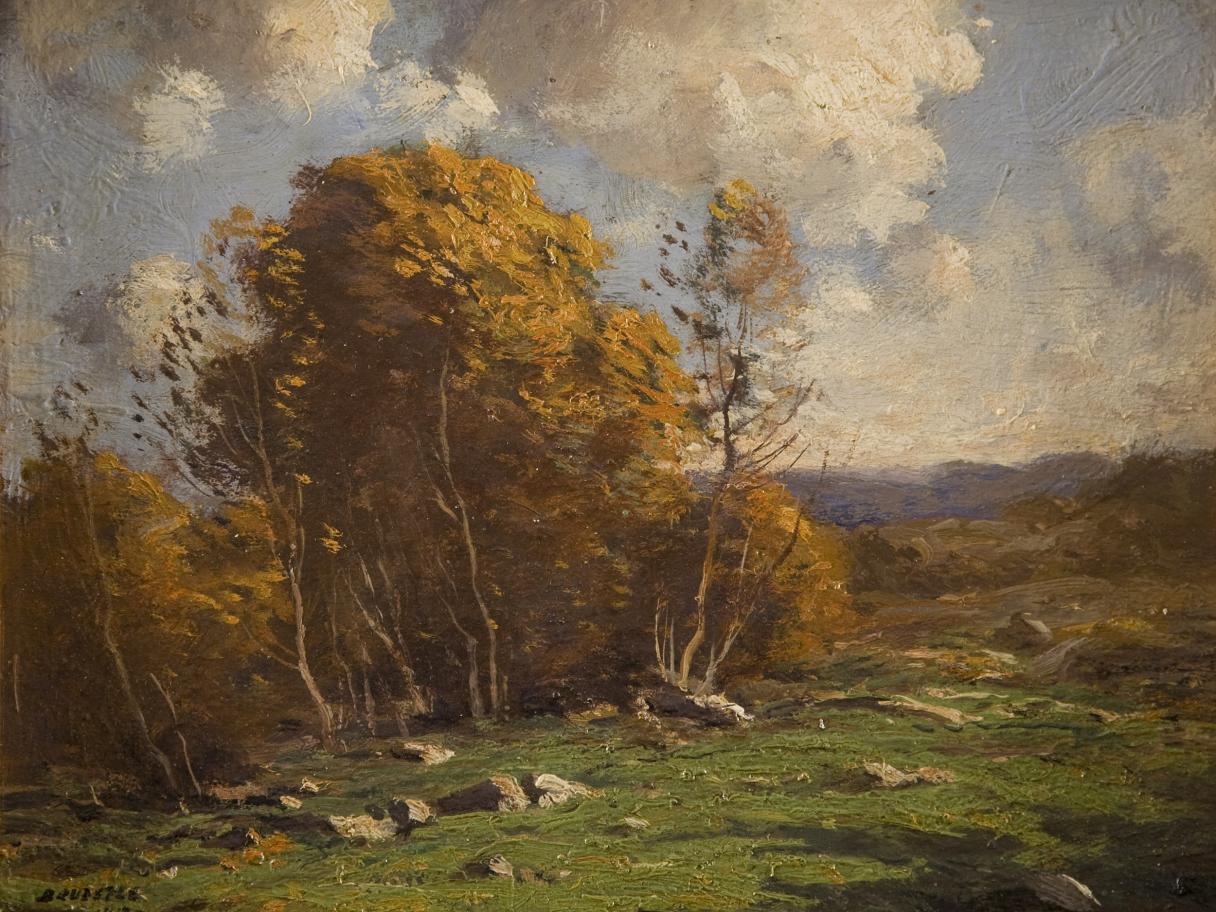 oil painting of aspen treen in a meadow 