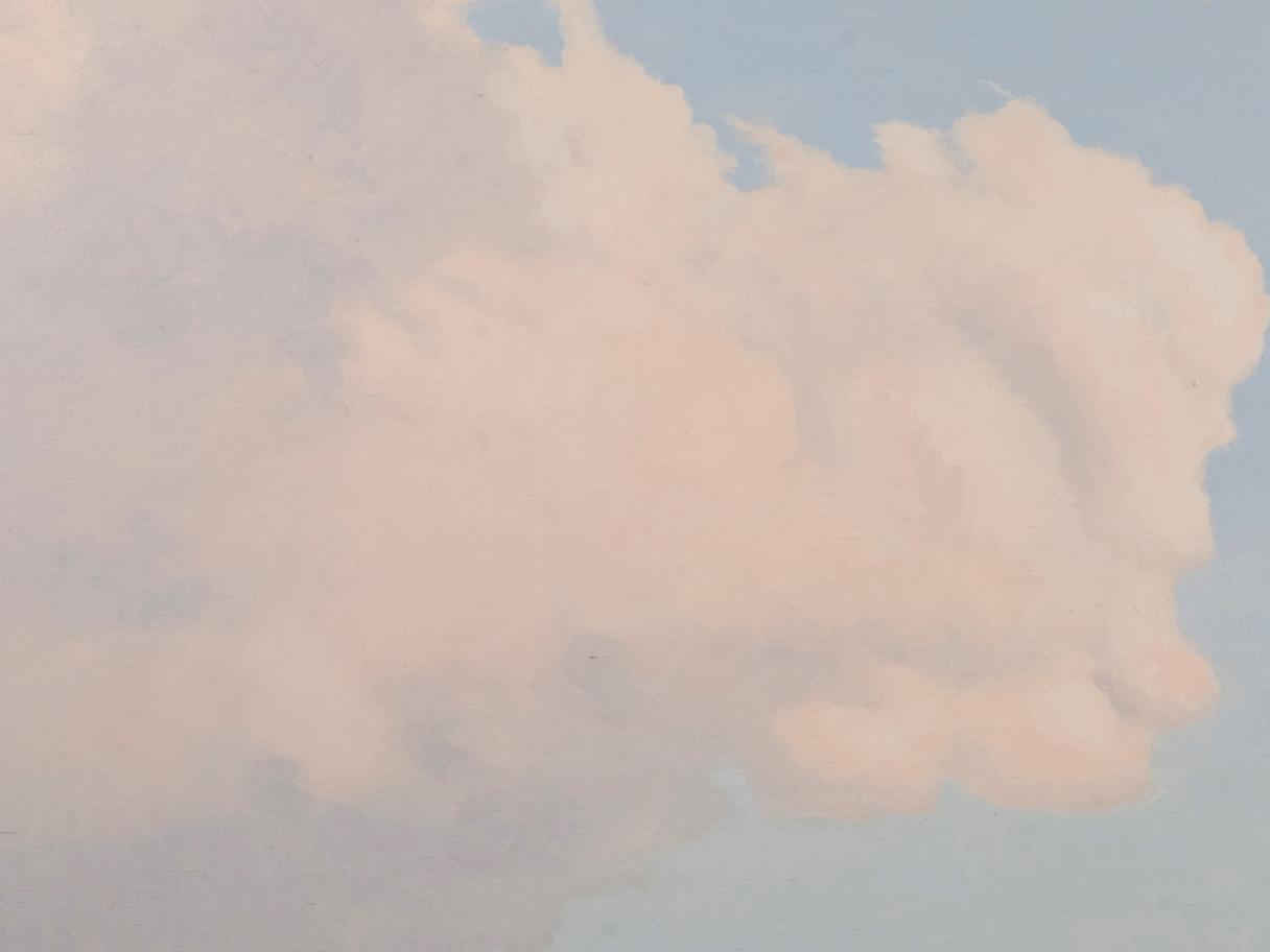 A off-white and pink close-up of a cloud on a blue background