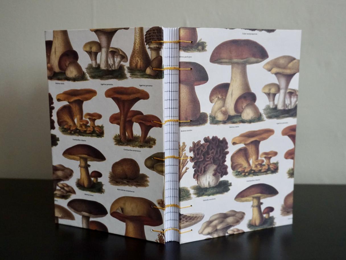 a handbound book with a vintage illustration of mushrooms on the cover