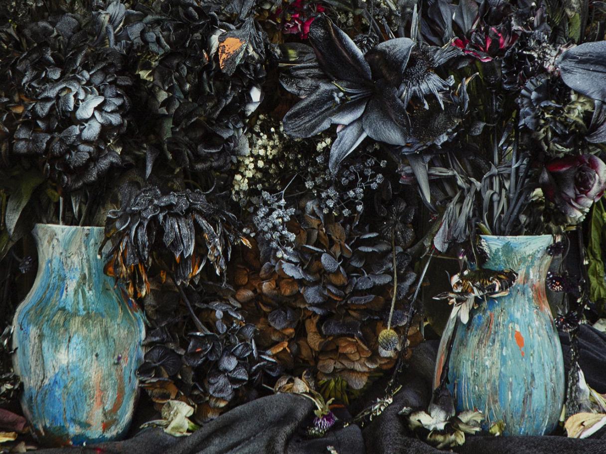 a color photograph of black flower that look charred by fire with two blue vases. 