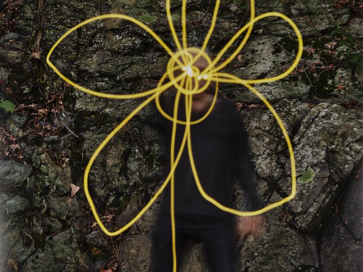 A dark image with a yellow flower