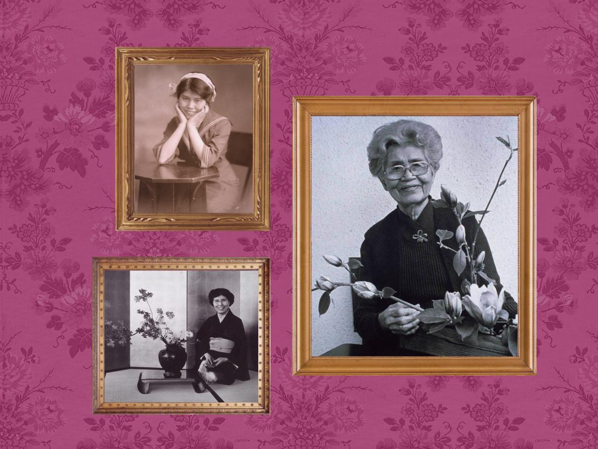 Three black and white photographs of a woman, Haruko Obata, are framed in gold against a pink wallpaper background. 
