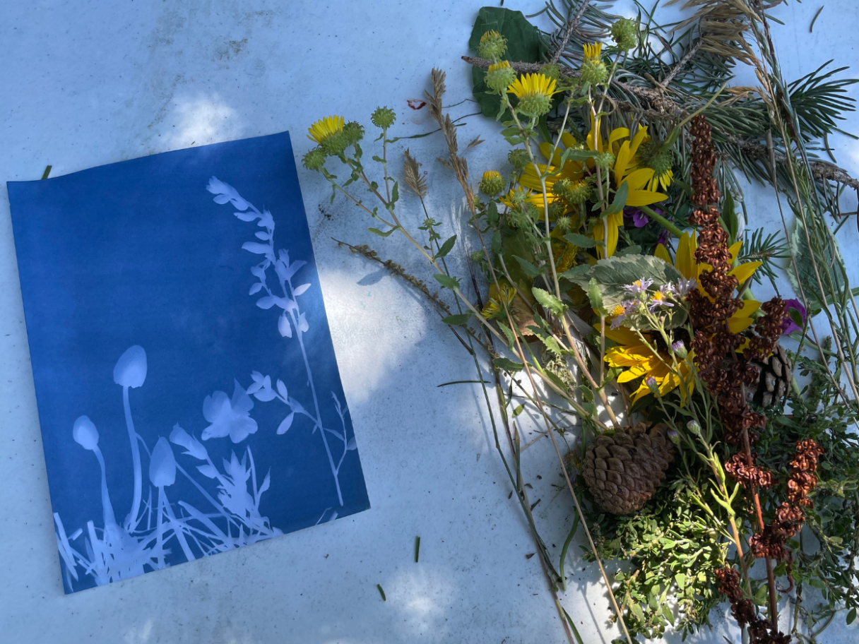 A blue and white cyanotype print lays next to a bundle of flowers and branches.