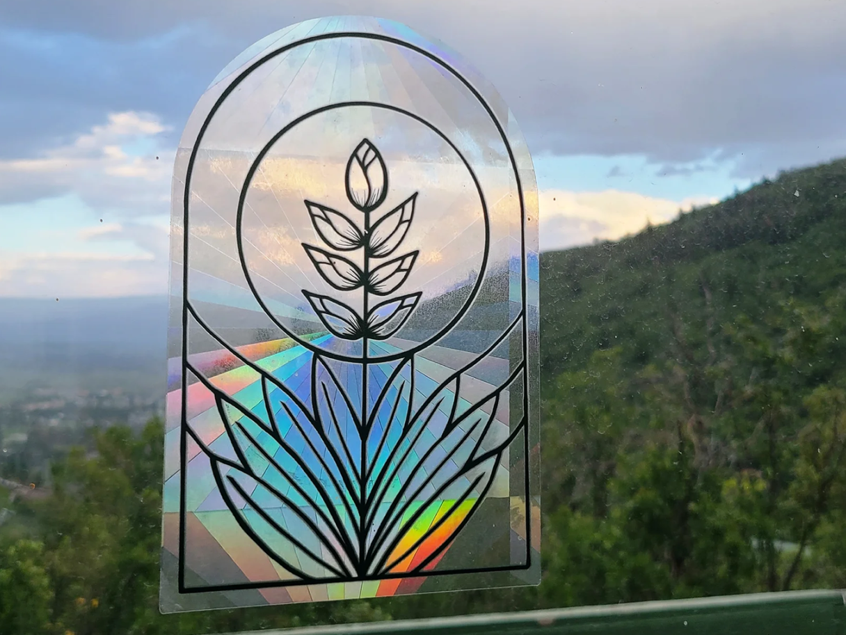 Glass with a yuca plant carved into it reflecting rainbows outside.