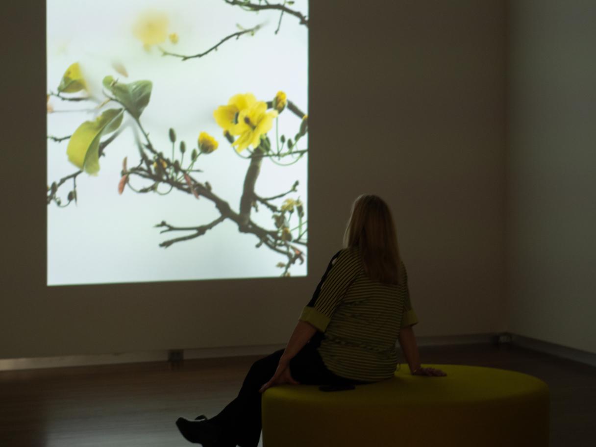 A silhouetted figure lounges in a dim room illuminated by a projection of yellow flowers.