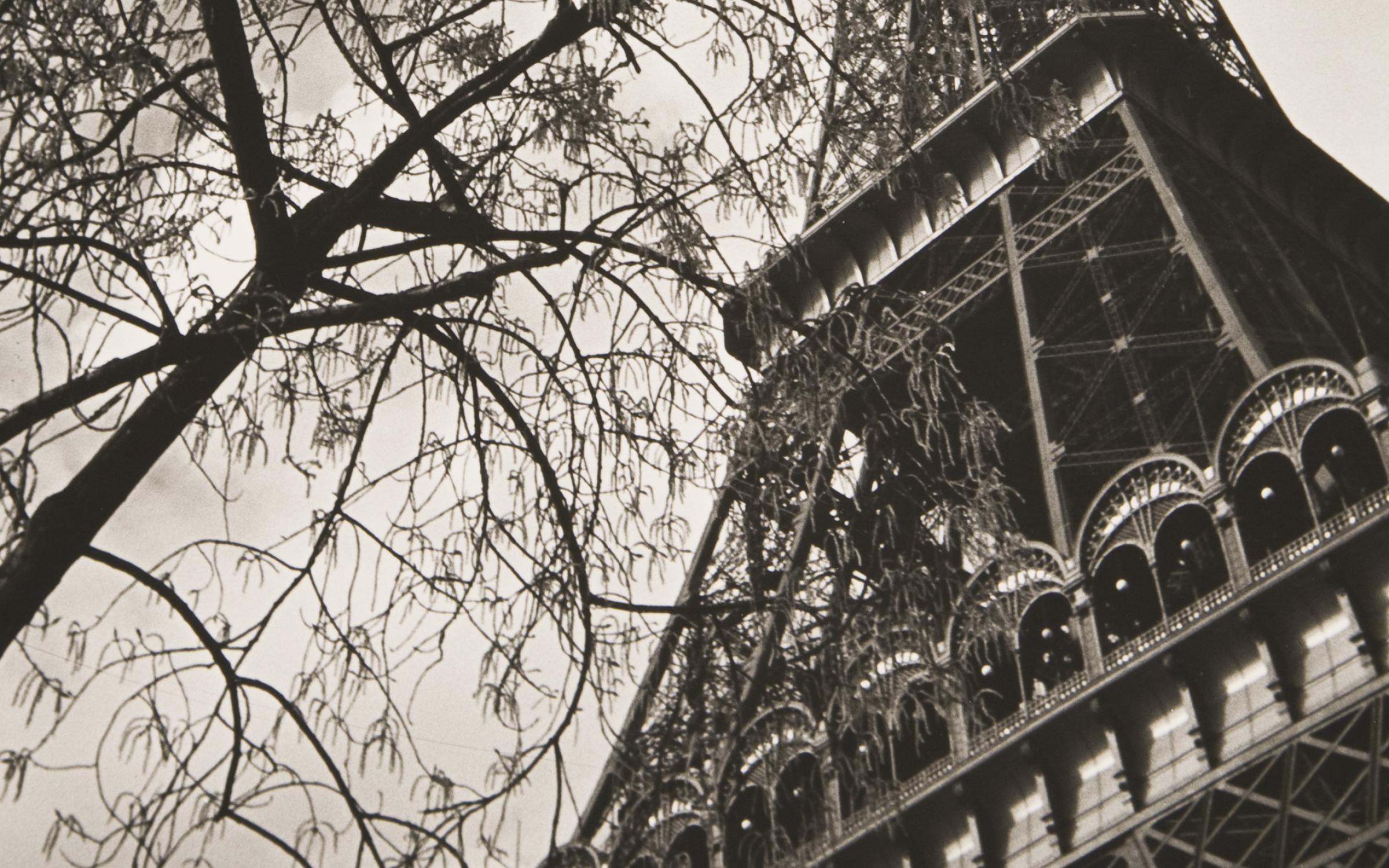 Ilse Bing (German, 1899-1998), Paris, Eiffel Tower with Branches, 1933, printed 1993, gelatin silver print, 13 7/16 in x w: 8 15/16 inches, gift of Dr. Steven K. and Yasemin Miller, UMFA2012.11.8. Ilse Bing (German, 1899-1998), Paris, Eiffel Tower with Branches, 1933, printed 1993, gelatin silver print, 13 7/16 in x w: 8 15/16 inches, gift of Dr. Steven K. and Yasemin Miller, UMFA2012.11.8.