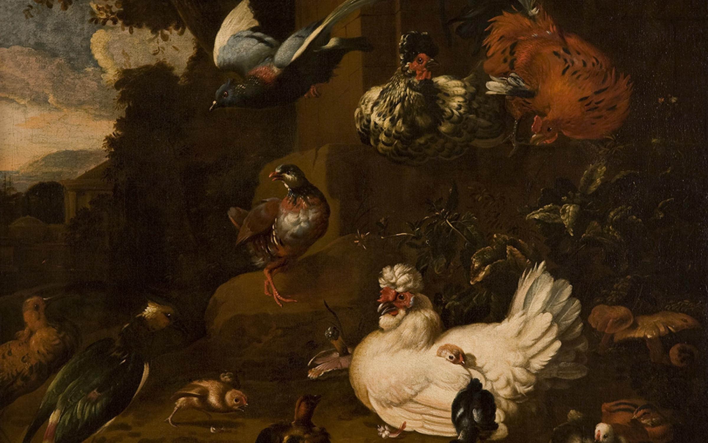 Melchior de Hondecoeter, (Dutch, 1636-1695), Birds in a Landscape, oil on canvas, gift of Mrs. Herbert I. Michael, UMFA1965.017