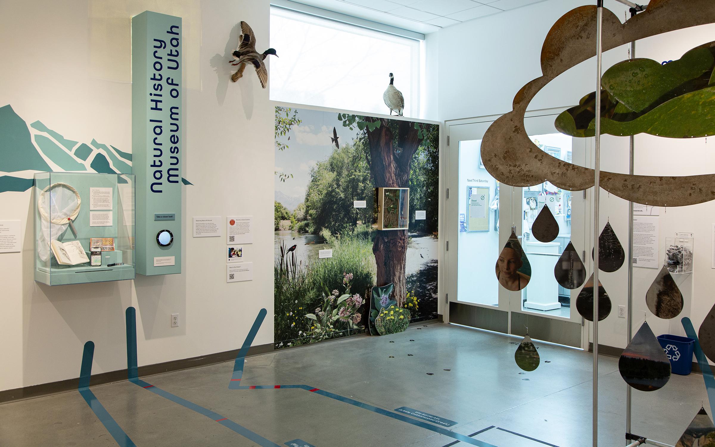 Confluence Gallery Framework and NHMU The ACME Lab Confluence exhibition gallery a metal rain cloud sculpture in the foreground a mural trees and a rive on the wall behind