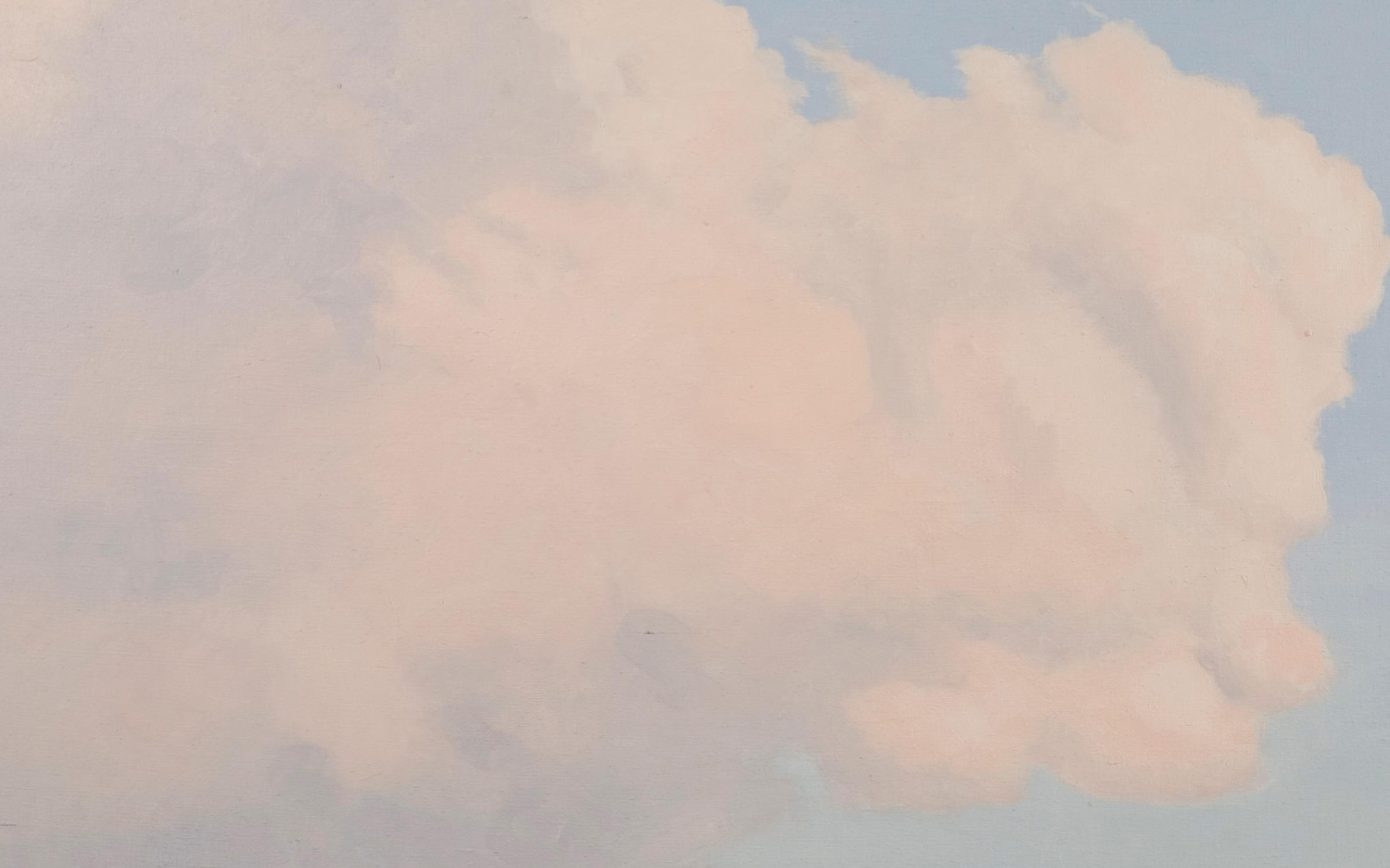 A off-white and pink close-up of a cloud on a blue background