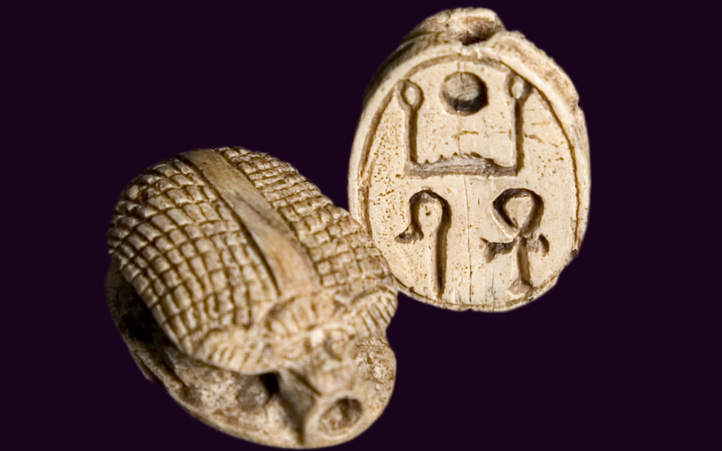 A close up of two Egyptian scarabs, round with markings