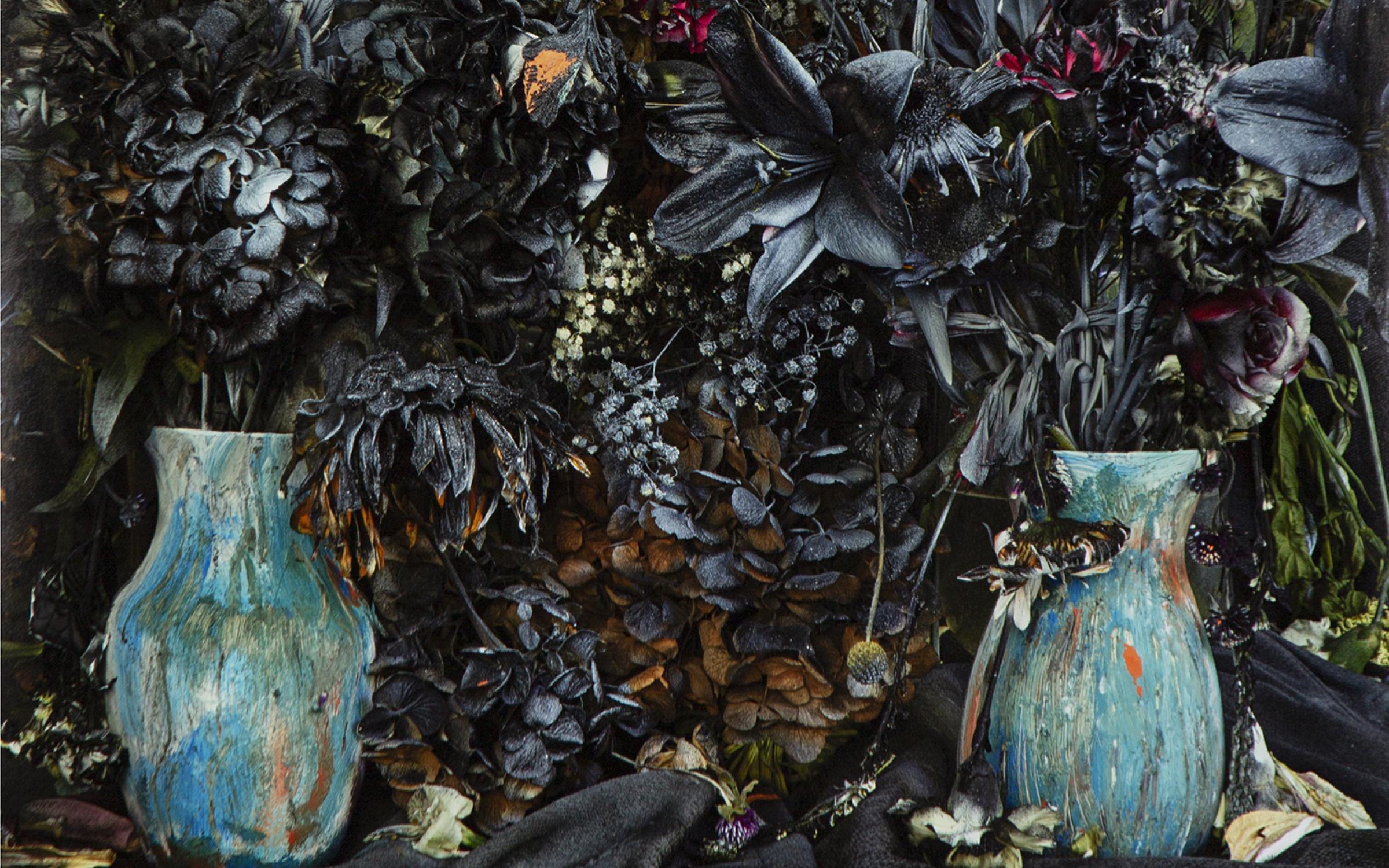 a color photograph of black flower that look charred by fire with two blue vases. 