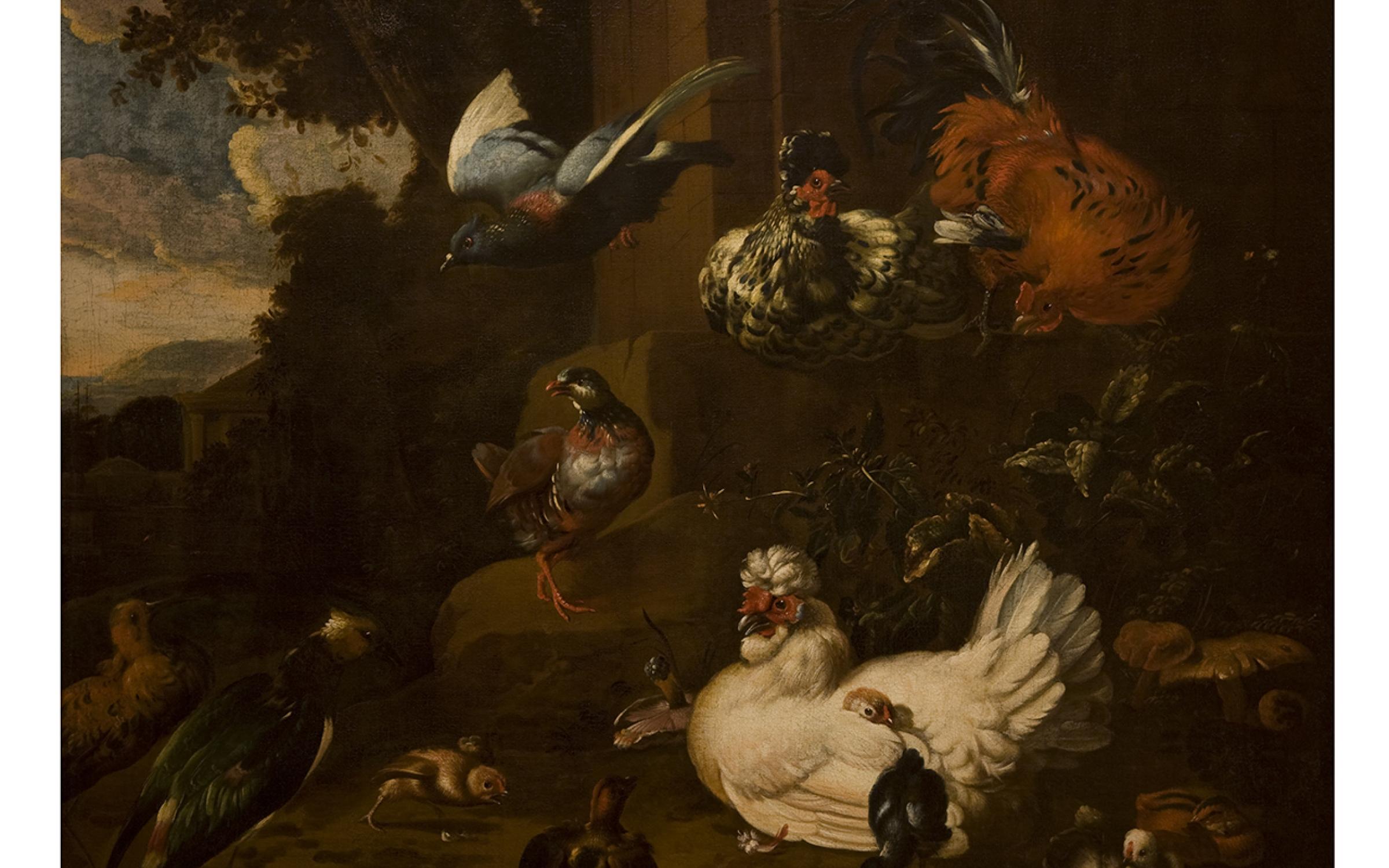 Melchior d’Hondecoeter, Dutch, 1636–1695, Birds in a Landscape A painting of chickens and pigeons