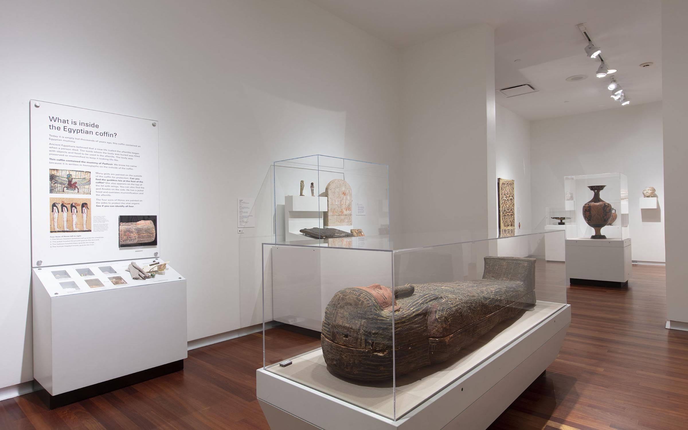 A mummy is lying in a glass case on a white platform. There are other artifacts in the background in their own glass cases against white walls.