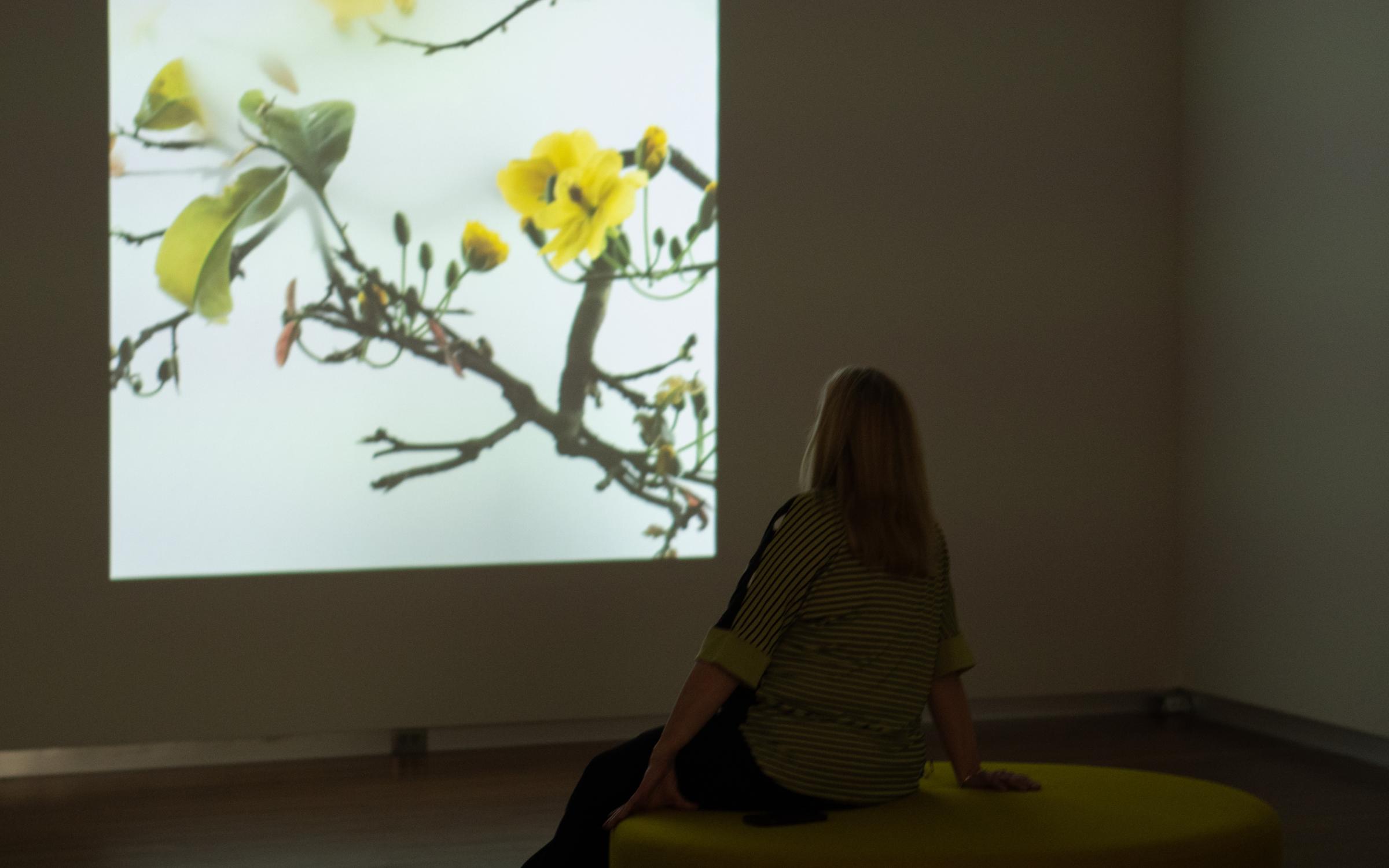 A silhouetted figure lounges in a dim room illuminated by a projection of yellow flowers.