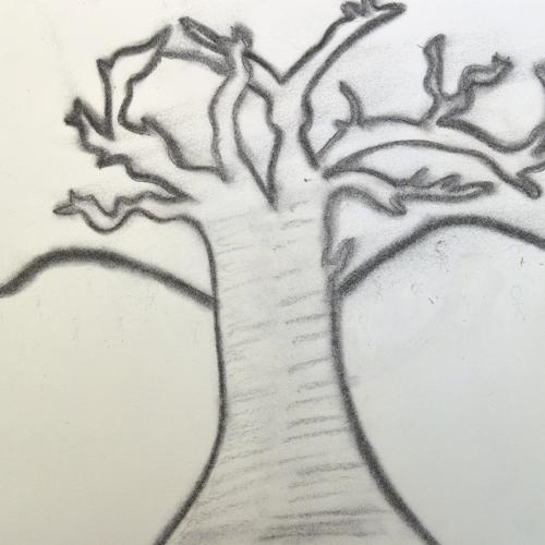 Julissa Duran, (American b. 2002), Mysterious Tree, 2018, charcoal on paper.