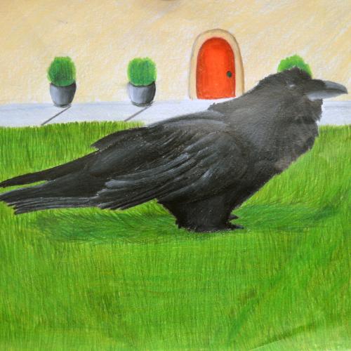 Helena G., (American b. 2006), Raven, 2018, colored pencil on paper.