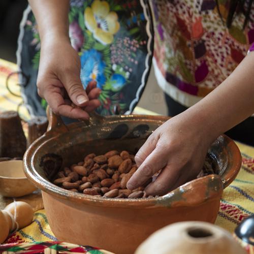 There are bowls of cacao beans on a colorful table cloth. A person's hands are in the bowl, touching the cacao.