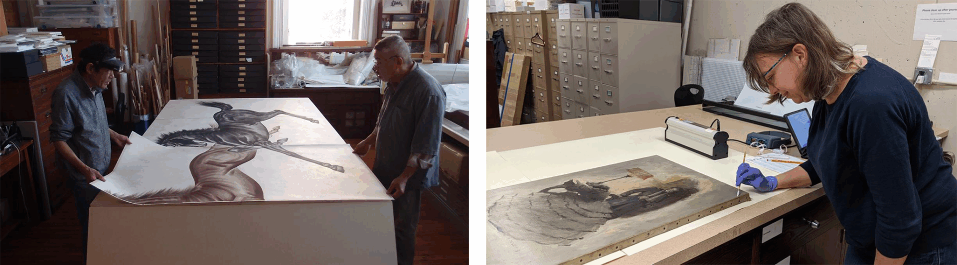 Two conservation photos, side by side.