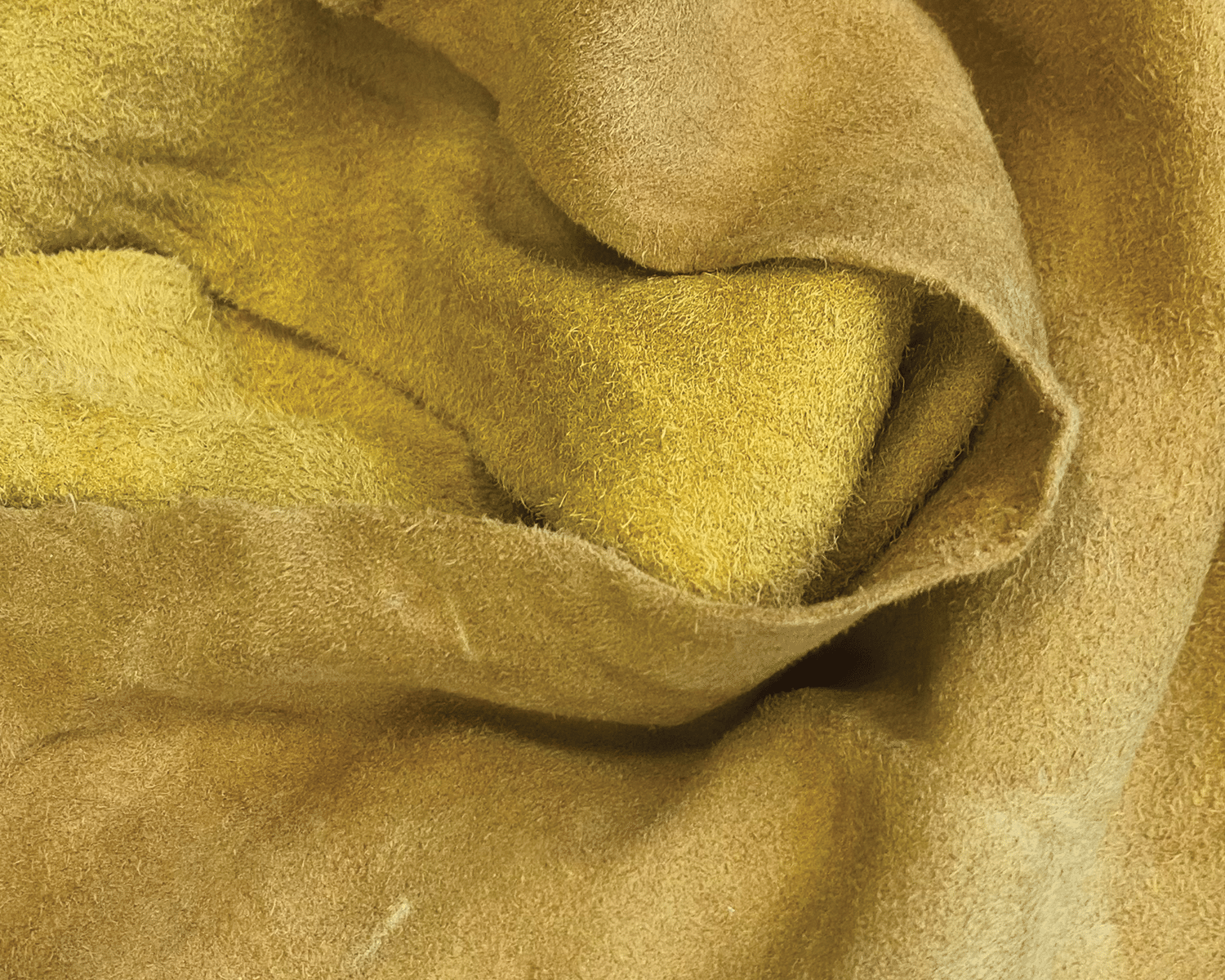 Close-up of a piece of soft, yellowish-tan suede fabric with a rough texture and visible folds and fibers.