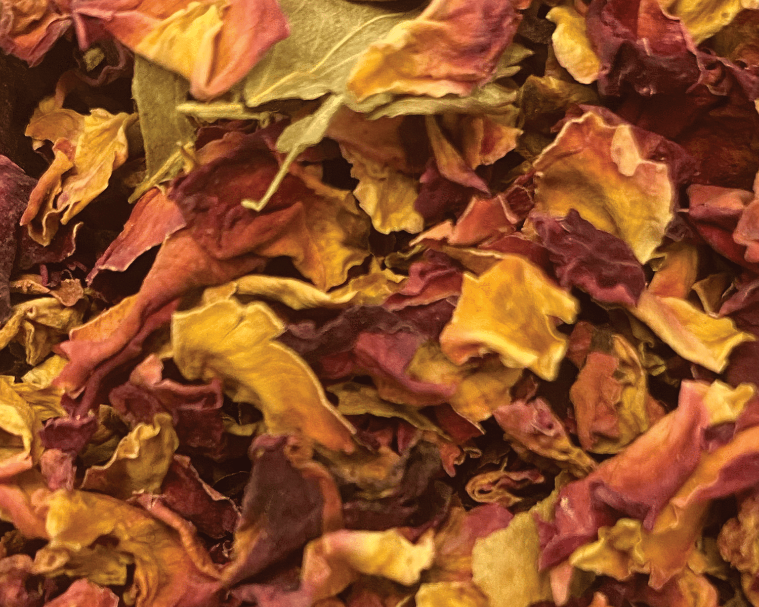 Close-up of a pile of dried rose petals in shades of yellow, red, and pink, showing their textured and crinkled surfaces.