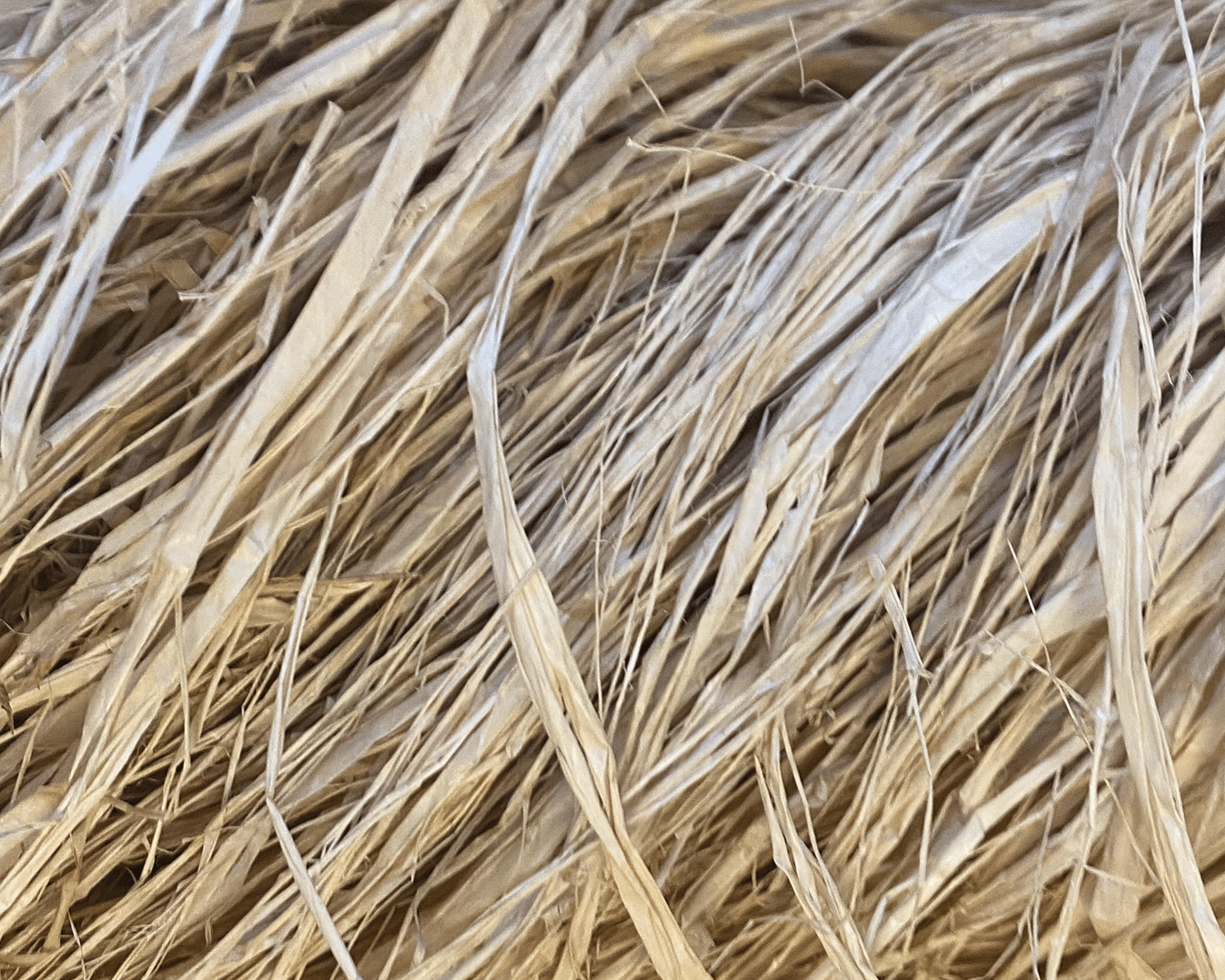 Close-up of dried, light brown straw or grass, showing tangled, thin, and slightly wavy strands.