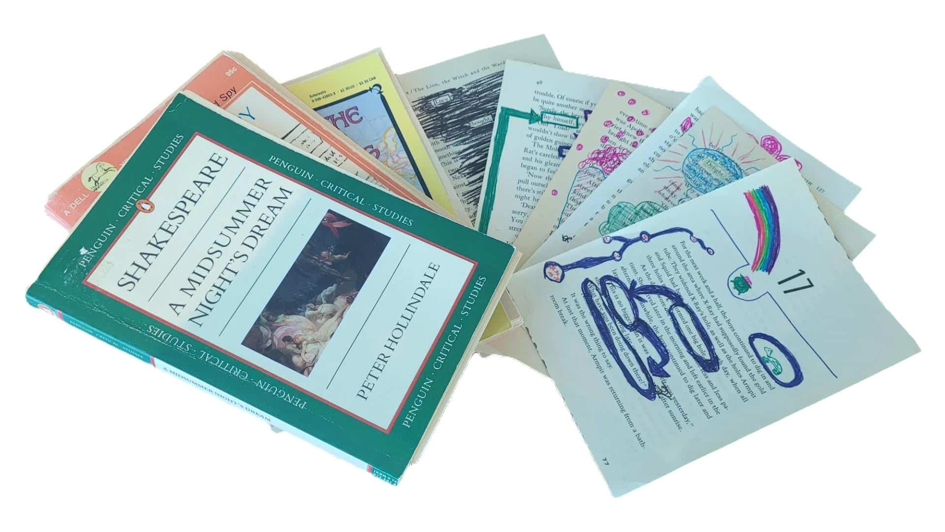 Three books spread out with 6 pages fanned out beside them. The pages have colorful illustrations and words circled to create found poems.